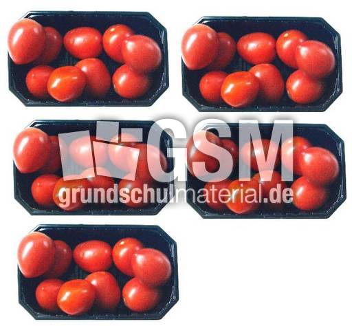 Tomaten-5x9.jpg